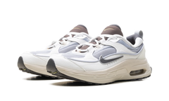 Air Max Bliss WMNS"Next Nature Wolf Grey Summit White" DZ4707 001