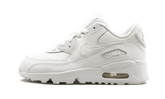 Air Max 90 LTR (PS)