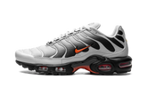 Air Max Plus "Wolf Grey Picante Red" DM0032 011