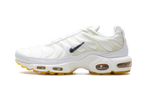 Air Max Plus "Marion Frank Rudy" DQ8960 100