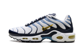 Air Max Plus CT1094 100